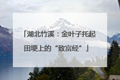 湖北竹溪：金叶子托起田埂上的“致富经”