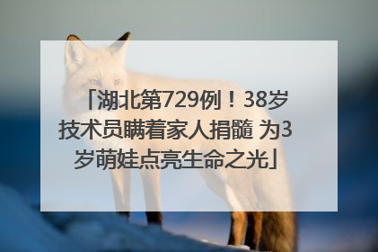 湖北第729例！38岁技术员瞒着家人捐髓 为3岁萌娃点亮生命之光