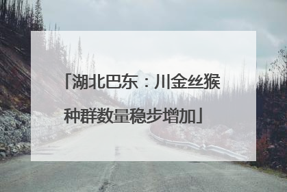 湖北巴东：川金丝猴种群数量稳步增加