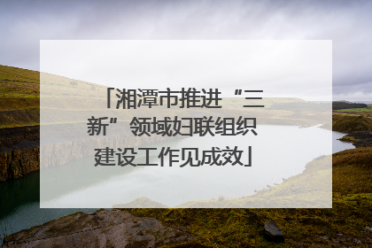 湘潭市推进“三新”领域妇联组织建设工作见成效