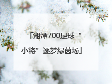 湘潭700足球“小将”逐梦绿茵场
