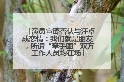 演员宣璐否认与汪卓成恋情：我们就是朋友，所谓“牵手图”双方工作人员均在场