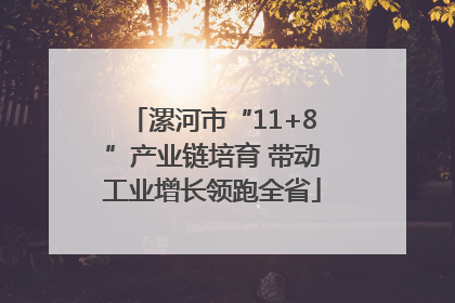 漯河市“11+8”产业链培育 带动工业增长领跑全省