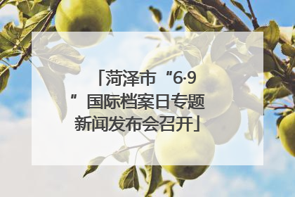 菏泽市“6·9”国际档案日专题新闻发布会召开