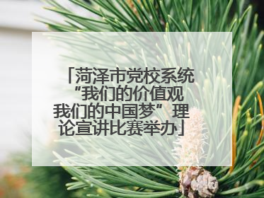 菏泽市党校系统“我们的价值观 我们的中国梦”理论宣讲比赛举办