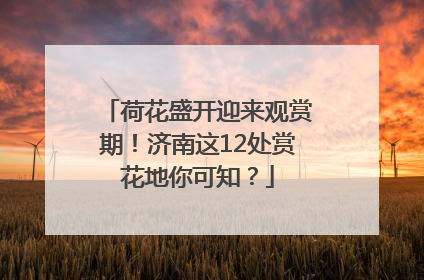 荷花盛开迎来观赏期！济南这12处赏花地你可知？