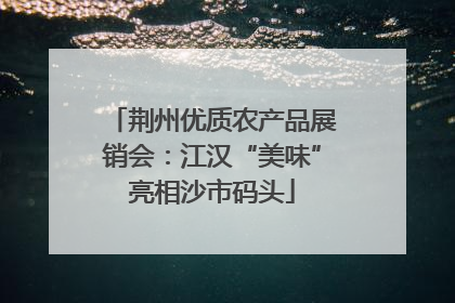 荆州优质农产品展销会：江汉“美味”亮相沙市码头