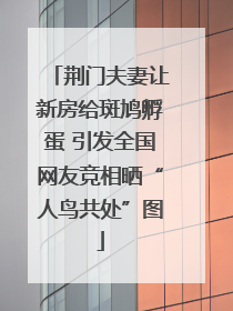 荆门夫妻让新房给斑鸠孵蛋 引发全国网友竞相晒“人鸟共处”图