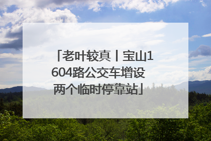 老叶较真丨宝山1604路公交车增设两个临时停靠站