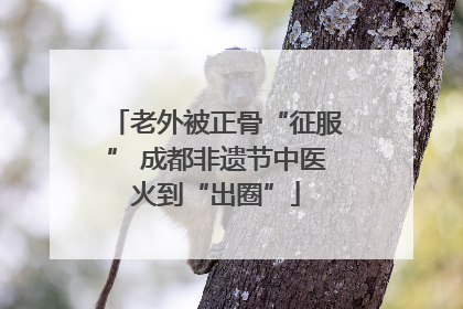 老外被正骨“征服” 成都非遗节中医火到“出圈”