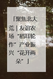 聚焦北大荒|友谊农场“稻耳轮作”产业振兴“花开两朵”