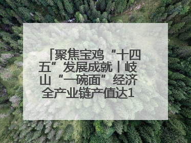 聚焦宝鸡“十四五”发展成就丨岐山“一碗面”经济全产业链产值达162亿元 入选全国典型县