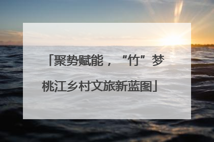 聚势赋能，“竹”梦桃江乡村文旅新蓝图