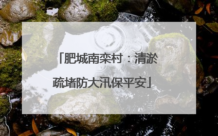 肥城南栾村：清淤疏堵防大汛保平安