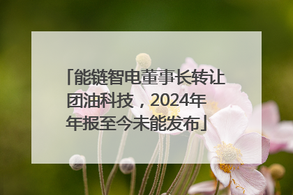 能链智电董事长转让团油科技，2024年年报至今未能发布