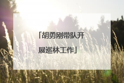 胡勇刚带队开展巡林工作