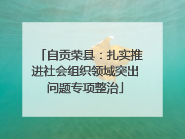 自贡荣县：扎实推进社会组织领域突出问题专项整治