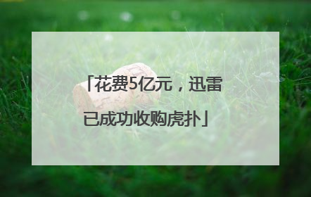 花费5亿元，迅雷已成功收购虎扑