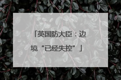 英国防大臣：边境“已经失控”