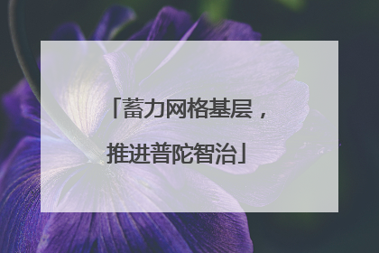 蓄力网格基层，推进普陀智治