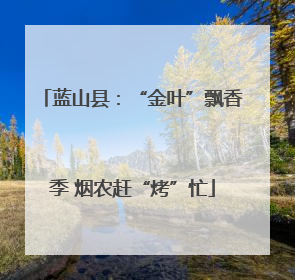 蓝山县：“金叶”飘香季 烟农赶“烤”忙