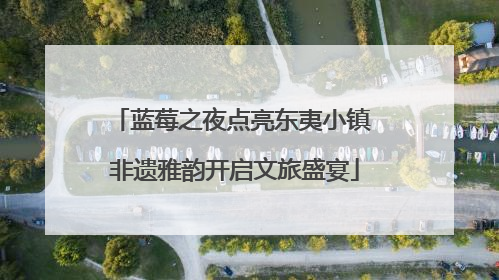 蓝莓之夜点亮东夷小镇 非遗雅韵开启文旅盛宴