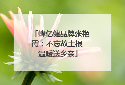 蜂亿健品牌张艳霞：不忘故土根 温暖送乡亲