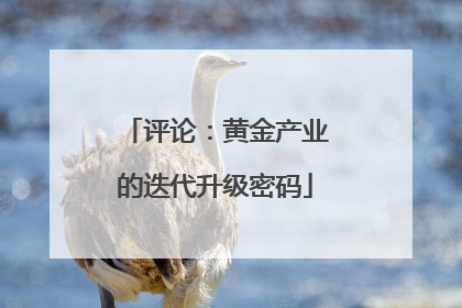 评论：黄金产业的迭代升级密码
