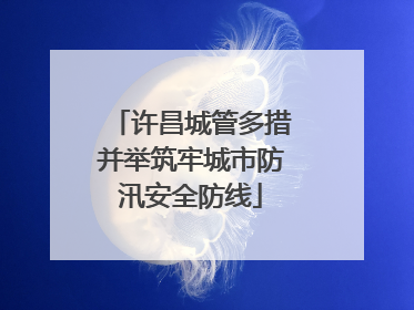 许昌城管多措并举筑牢城市防汛安全防线