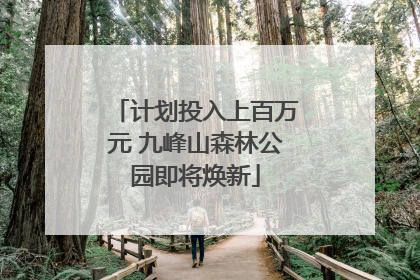 计划投入上百万元 九峰山森林公园即将焕新