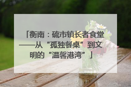 衡南：硫市镇长者食堂——从“孤独餐桌”到文明的“温馨港湾”