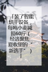 装了智能烘干设备，每吨小麦减损60斤（经济聚焦·夏收里的“新选手”）