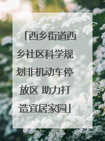 西乡街道西乡社区科学规划非机动车停放区 助力打造宜居家园