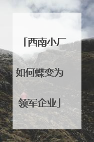 西南小厂如何蝶变为领军企业