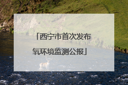 西宁市首次发布氧环境监测公报