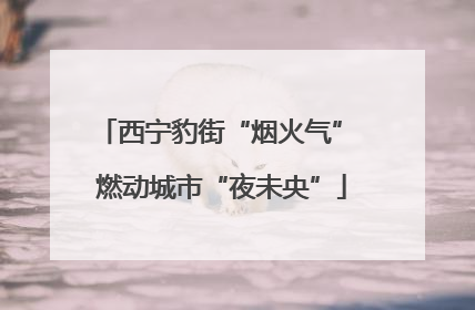 西宁豹街“烟火气” 燃动城市“夜未央”