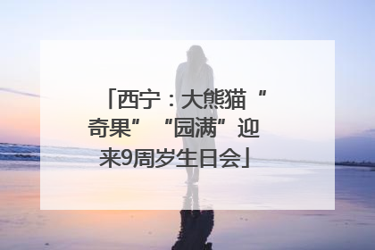 西宁：大熊猫“奇果”“园满”迎来9周岁生日会