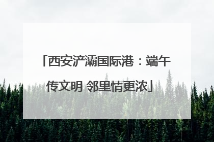 西安浐灞国际港：端午传文明 邻里情更浓