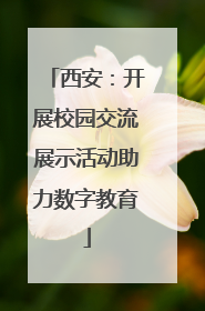 西安：开展校园交流展示活动助力数字教育