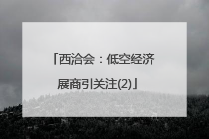 西洽会：低空经济展商引关注(2)