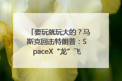 要玩就玩大的？马斯克回击特朗普：SpaceX“龙”飞船将立即退役！
