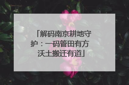 解码南京耕地守护：一码管田有方 沃土搬迁有道