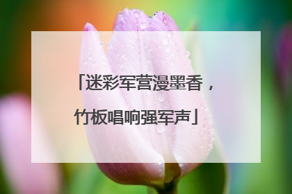 迷彩军营漫墨香，竹板唱响强军声