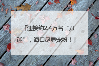 迎接约2.4万名“刀迷”，海口尽显宠粉！