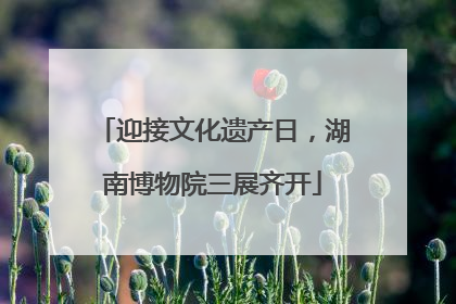 迎接文化遗产日，湖南博物院三展齐开