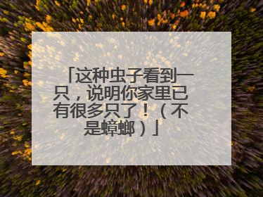 这种虫子看到一只，说明你家里已有很多只了！（不是蟑螂）