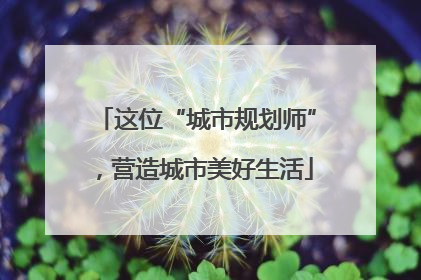 这位“城市规划师”，营造城市美好生活