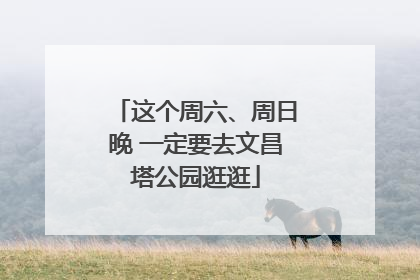 这个周六、周日晚 一定要去文昌塔公园逛逛