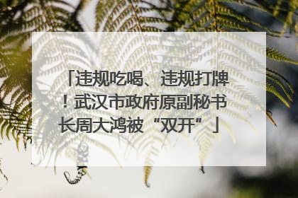 违规吃喝、违规打牌！武汉市政府原副秘书长周大鸿被“双开”