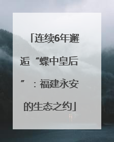 连续6年邂逅“蝶中皇后”：福建永安的生态之约